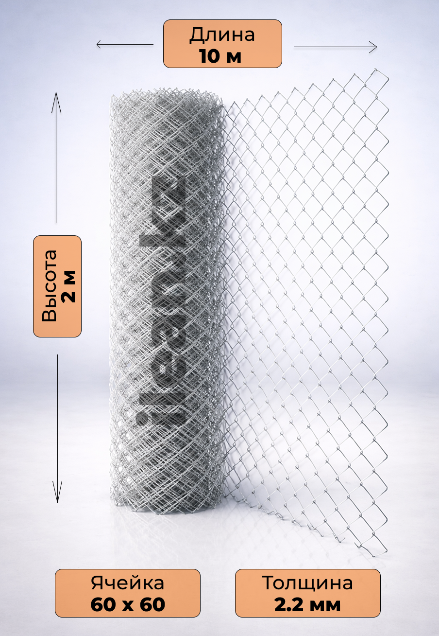 Рабиица ↑2м | 60х60